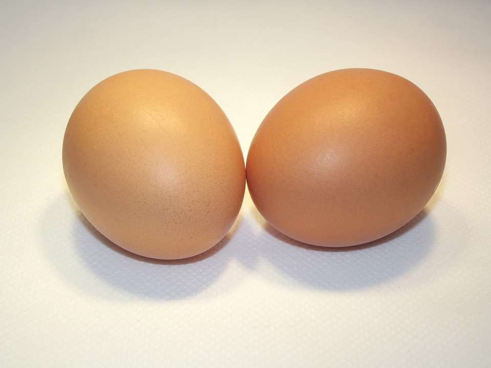 Je jajčna dieta zares hitra in učinkovita?